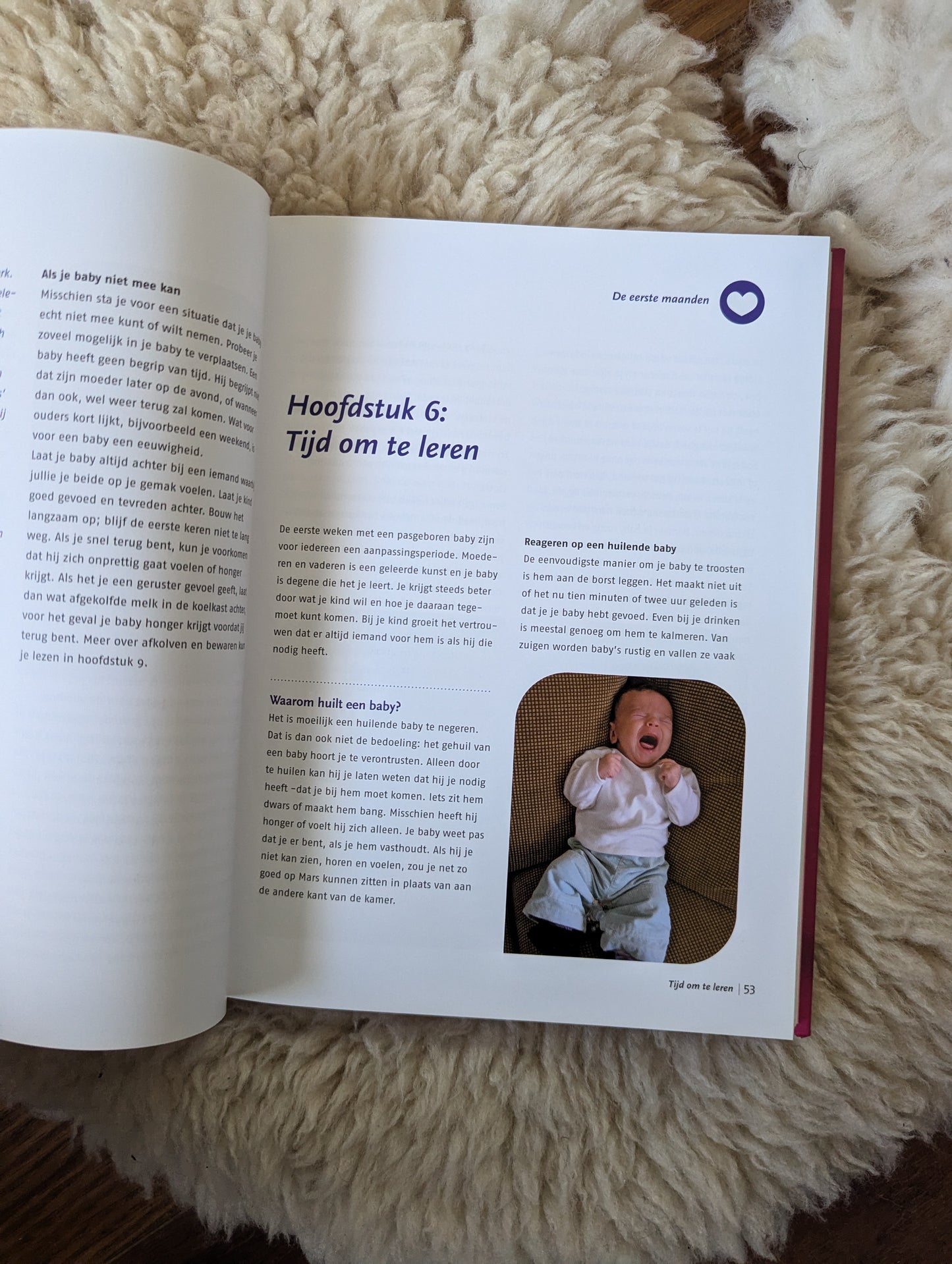 Boek - handboek borstvoeding