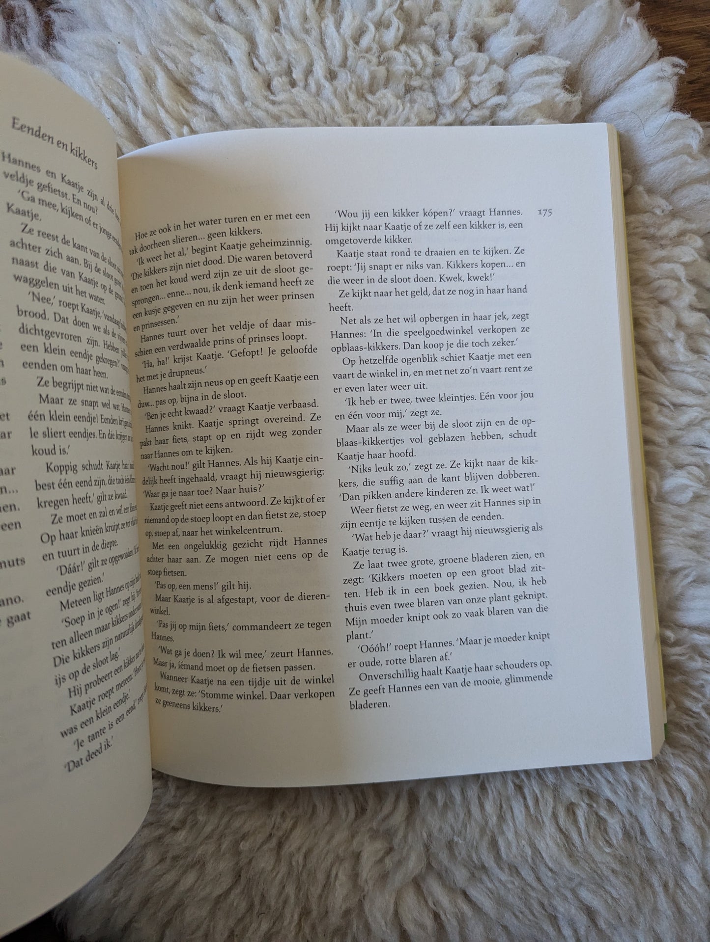 Boek - Hannes en Kaatje
