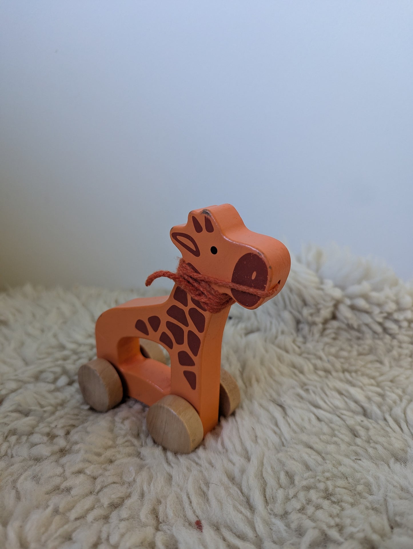 Trek giraffe