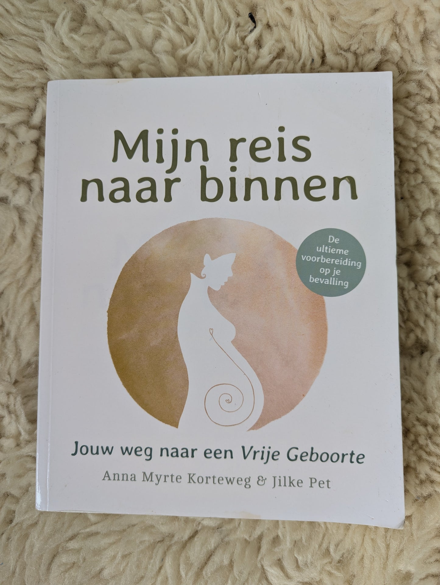 Boek - mijn reis naar binnen