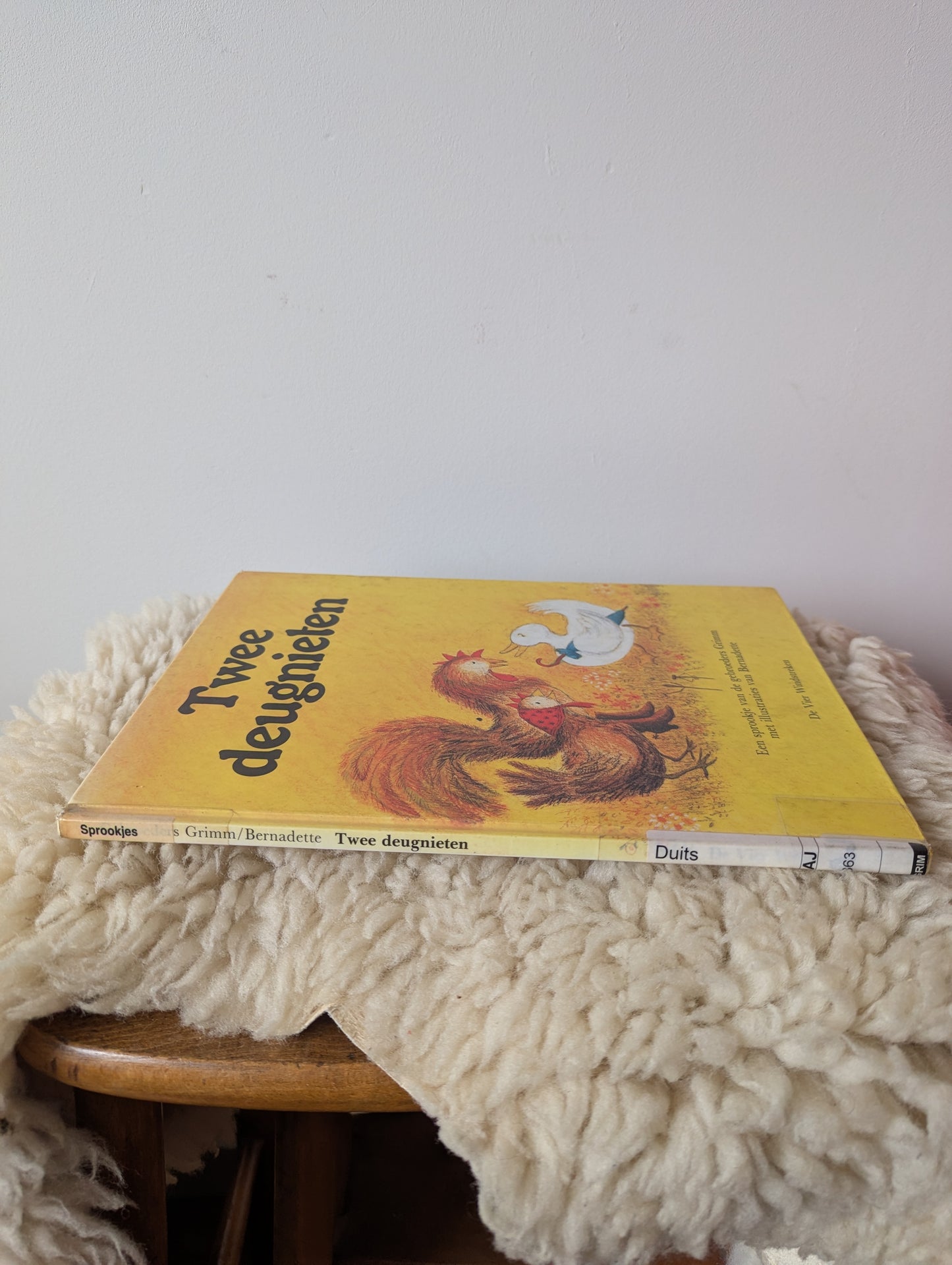 Boek - twee deugnieten