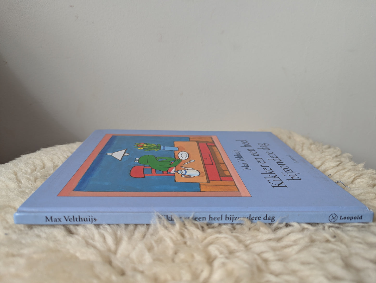 Boek - kikker en een heel bijzondere dag