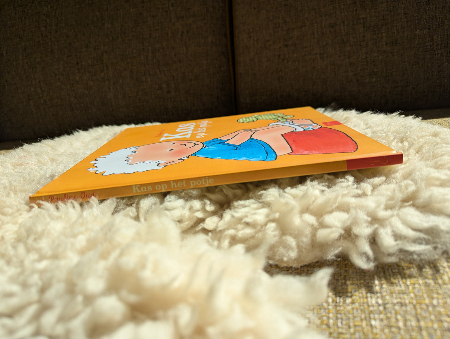 Boek - Kas op het potje