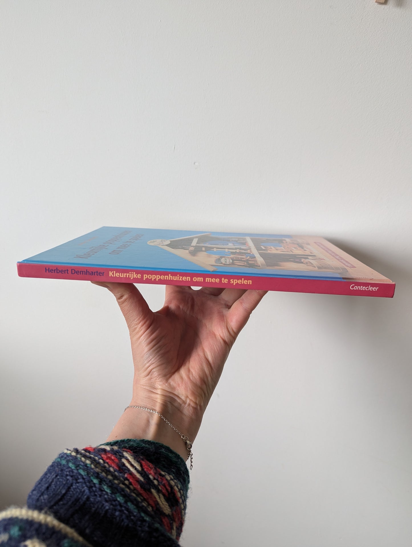 Boek - kleurrijke poppenhuizen