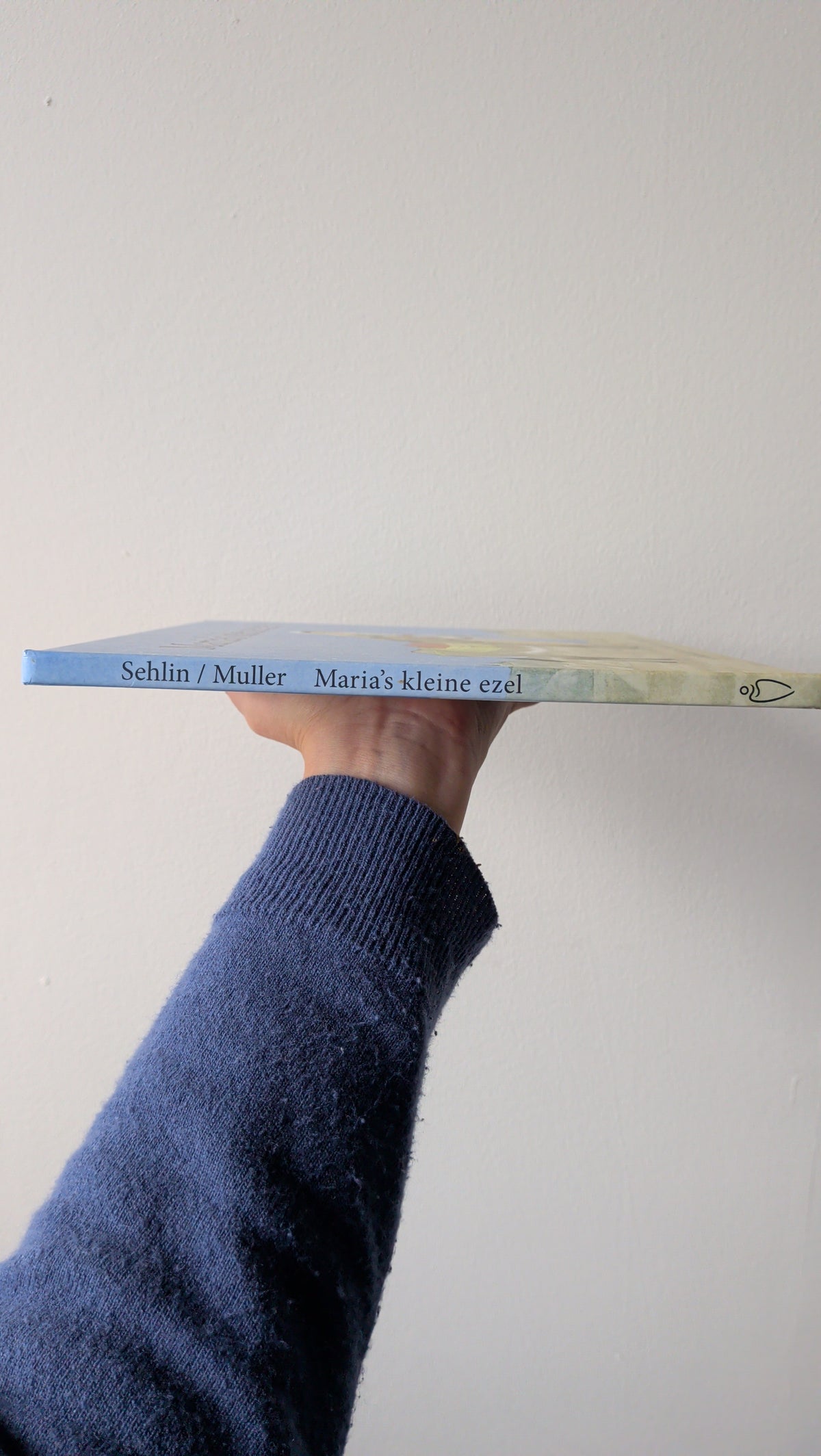 Prentenboek - Maria's kleine ezel