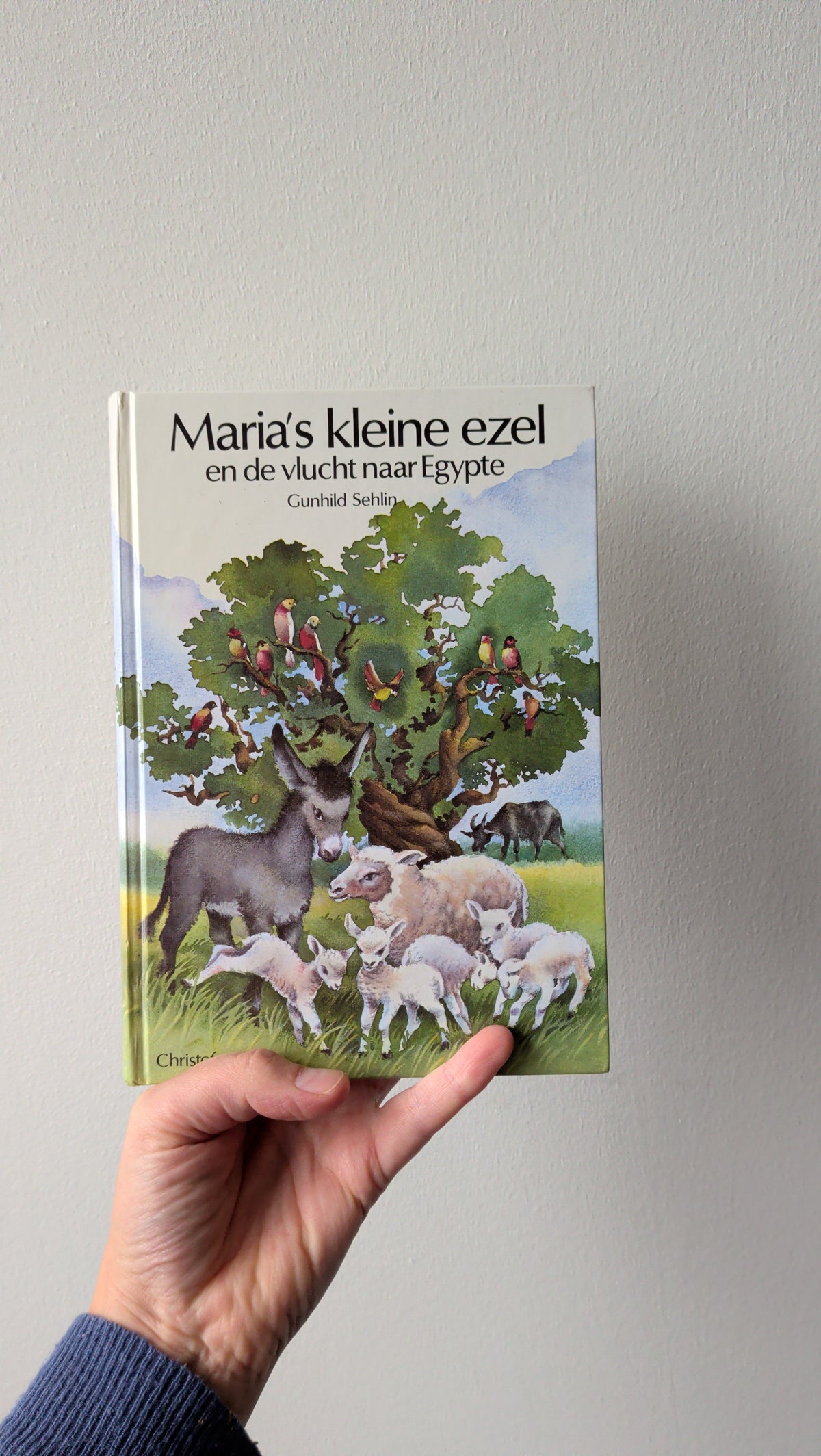 Boek - Maria's kleine ezel