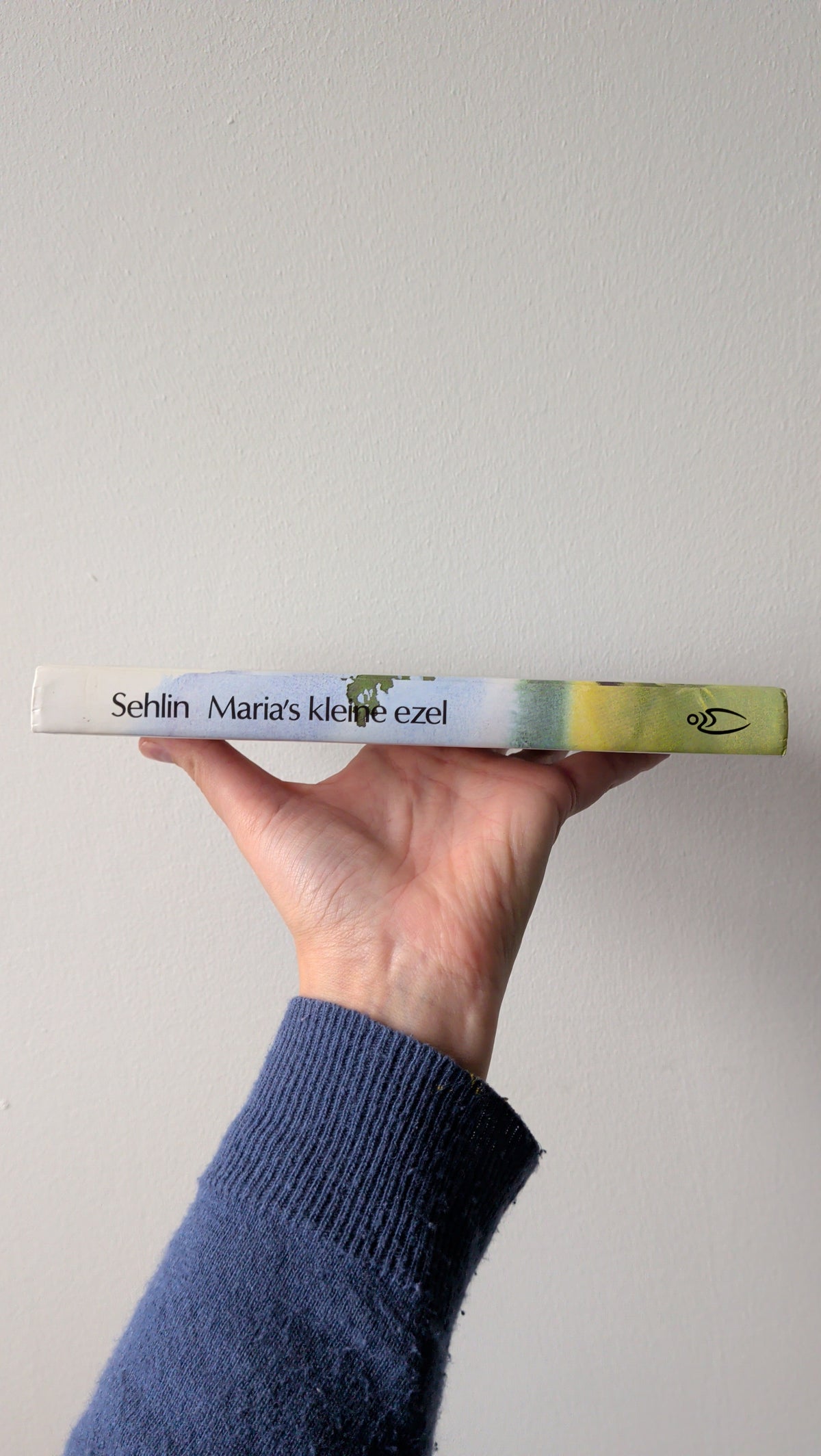 Boek - Maria's kleine ezel