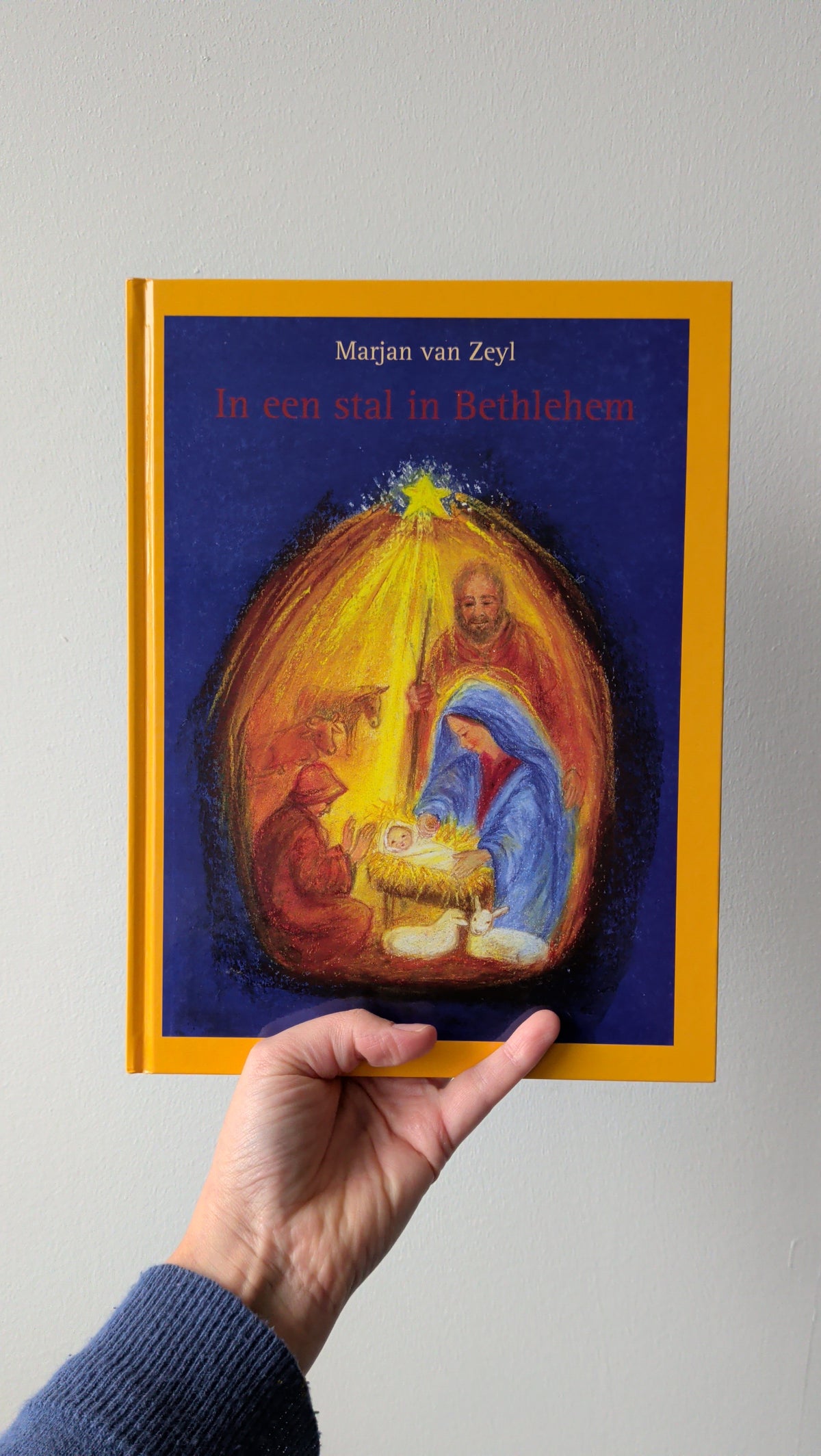 Boek - in een stal in Bethlehem