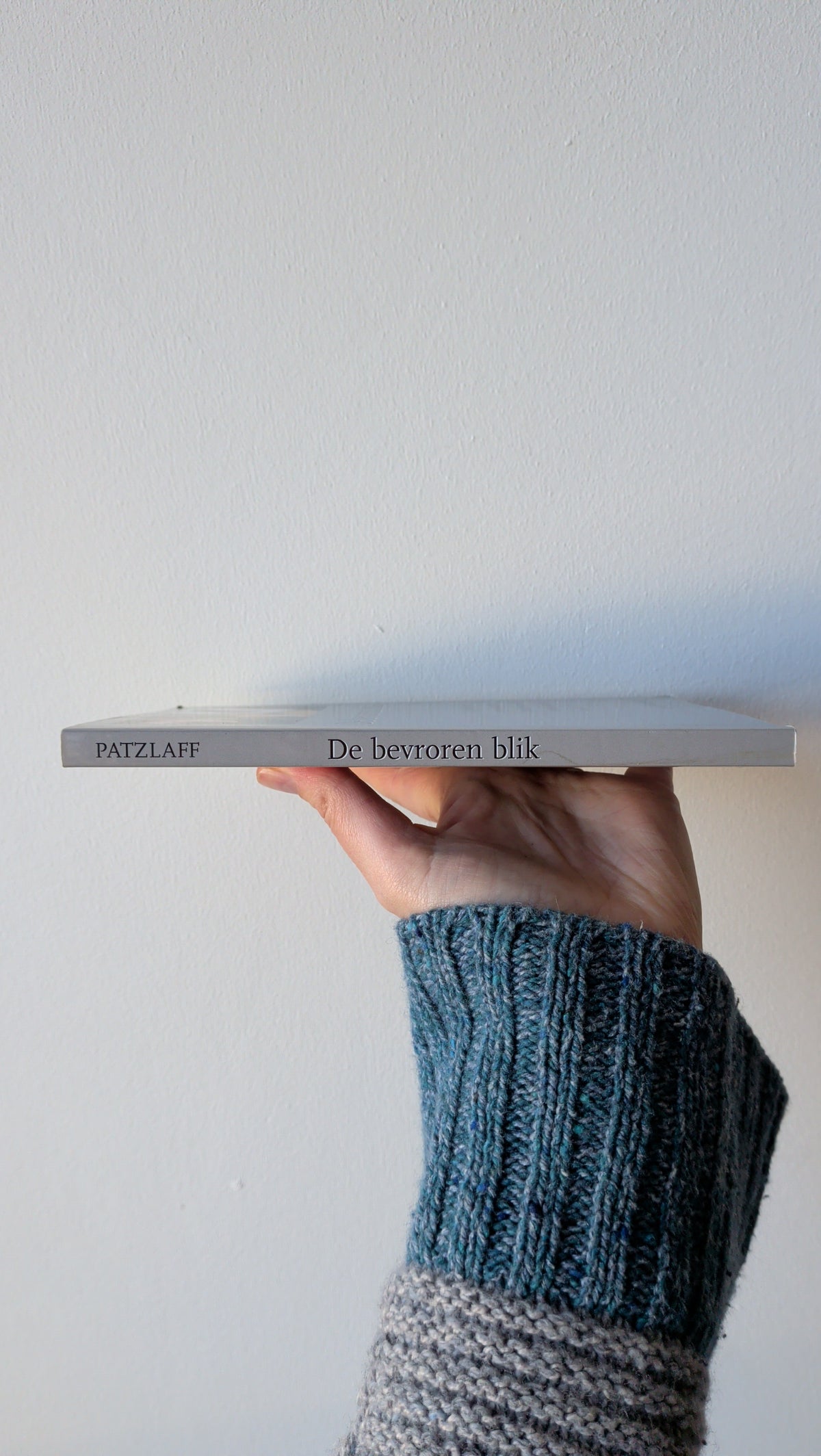Boek - de bevroren blik