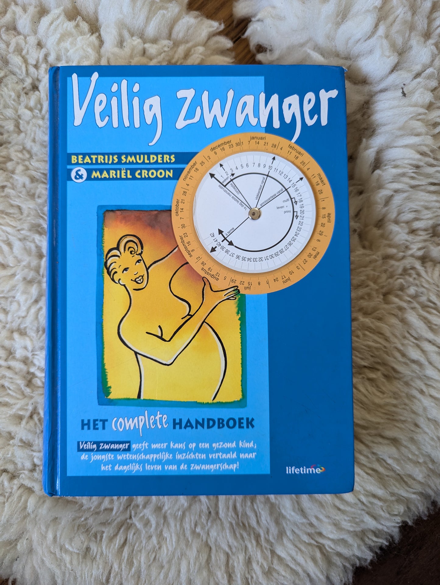 Boek - Veilig zwanger