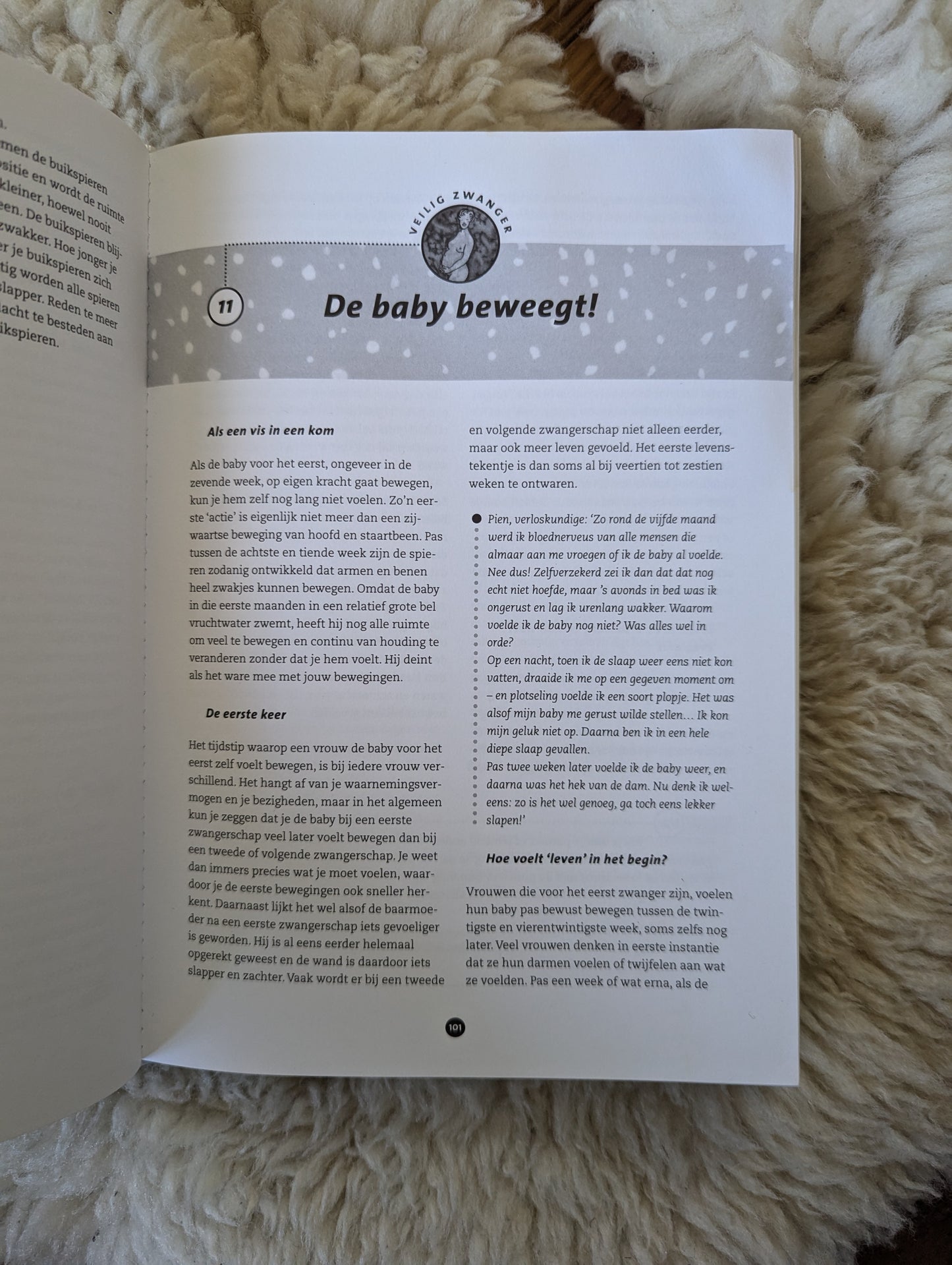 Boek - Veilig zwanger