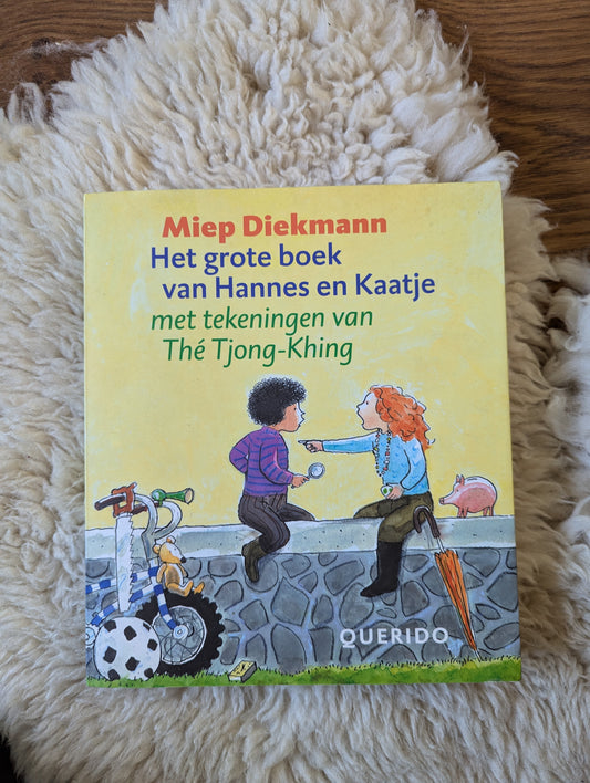 Boek - Hannes en Kaatje