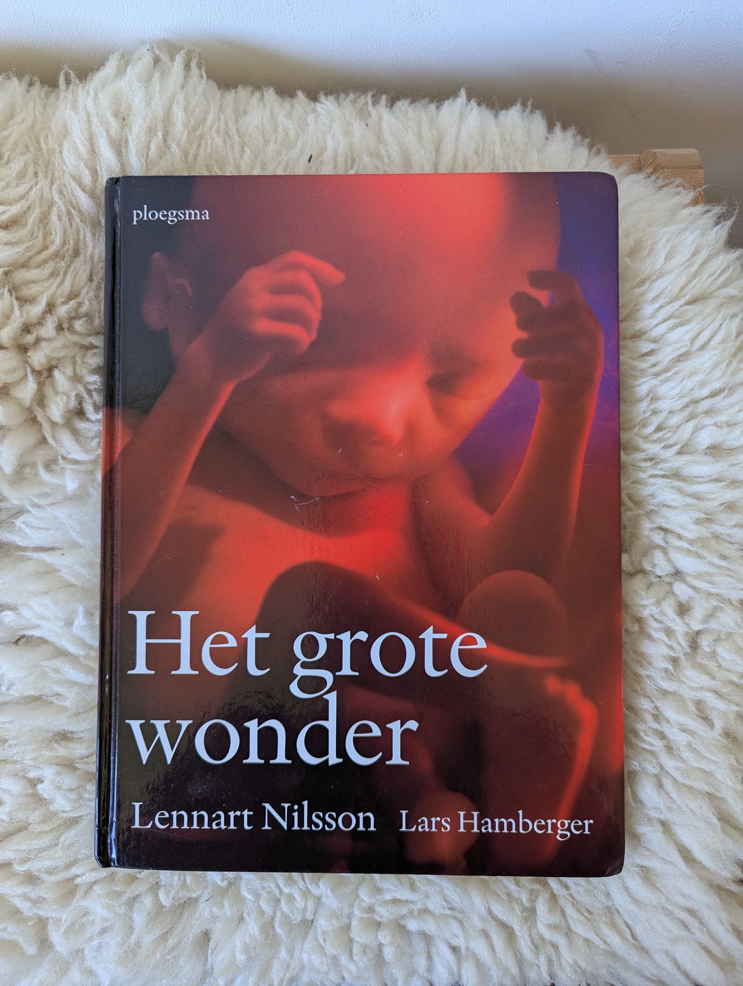 Het grote wonder
