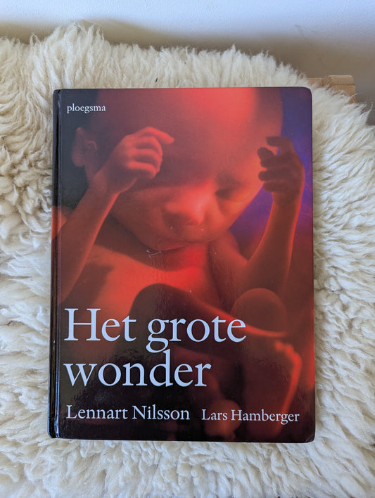 Het grote wonder