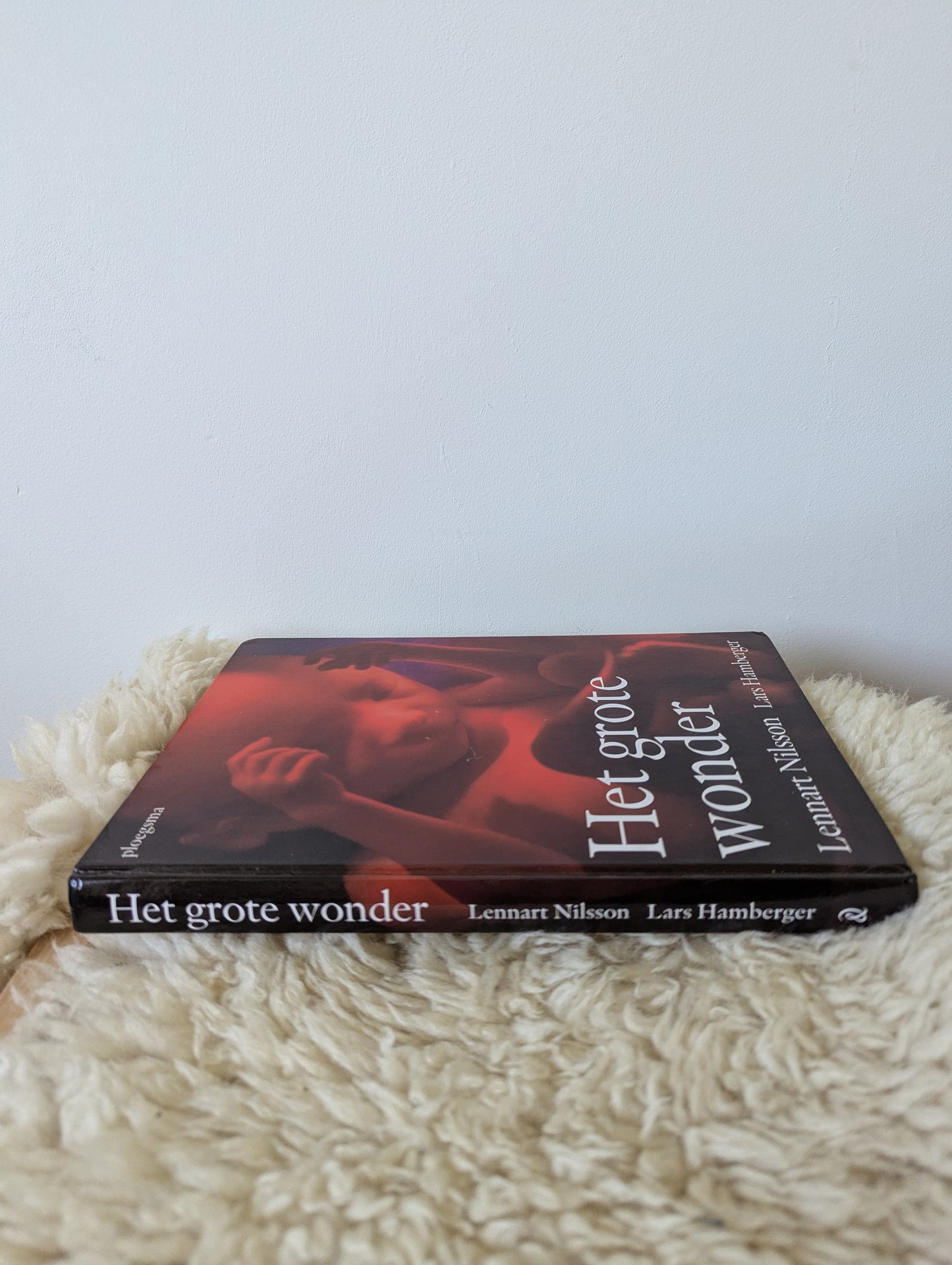 Het grote wonder