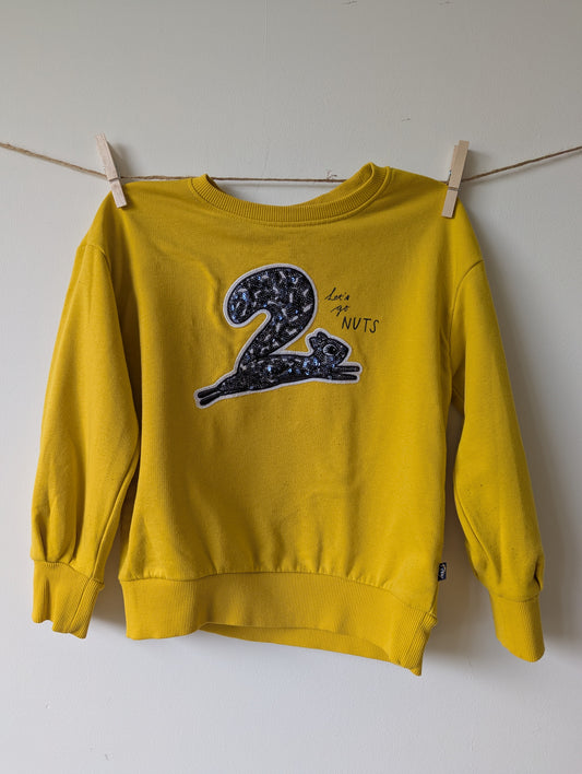 Sweater- mt 110/116