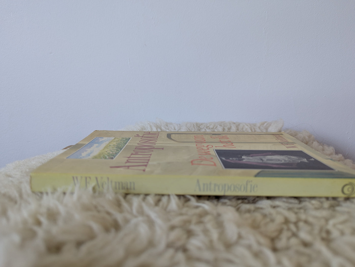 Boek - De weg van het ik