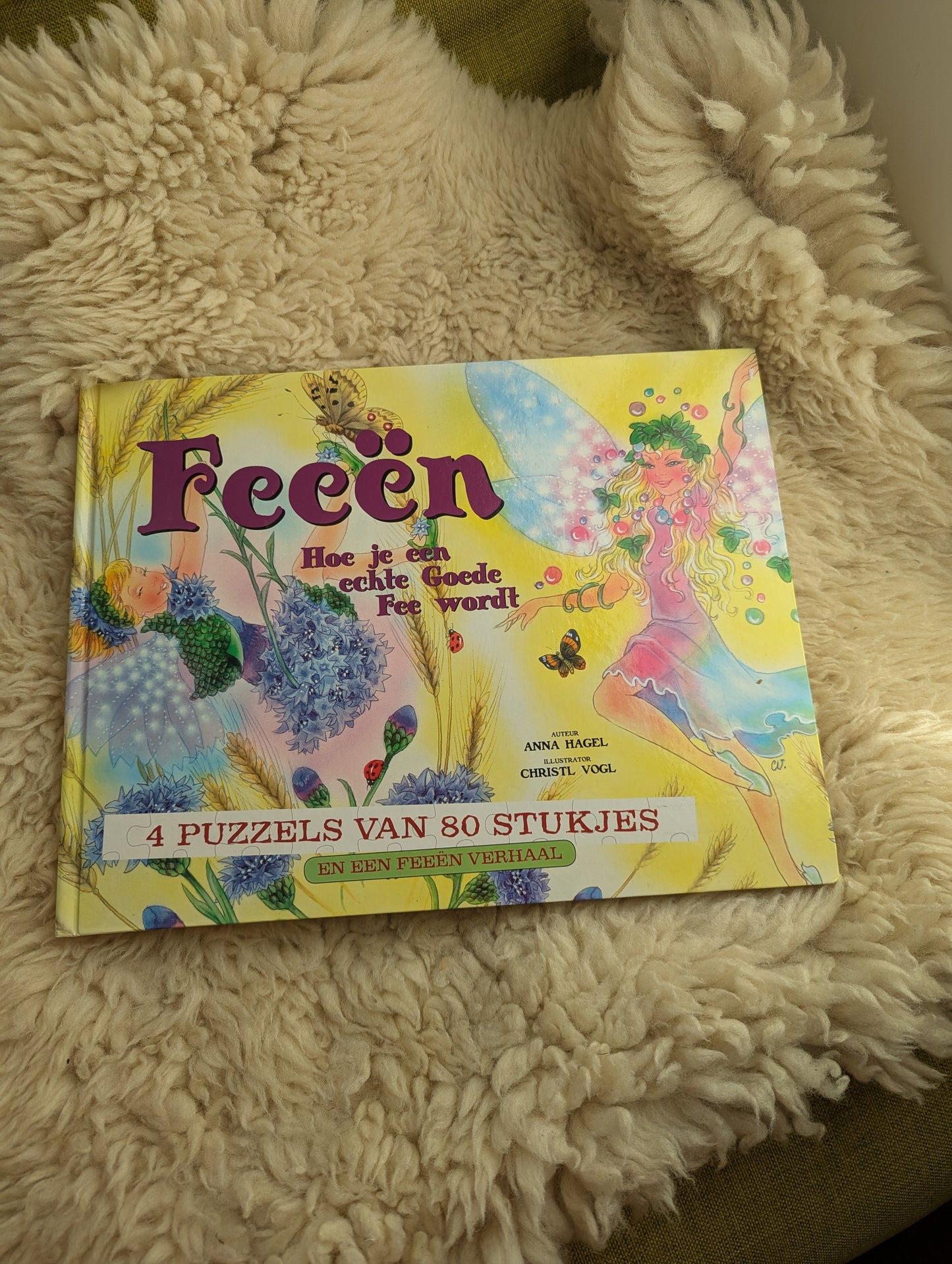 Puzzelboek - Hoe je een echte goede fee wordt