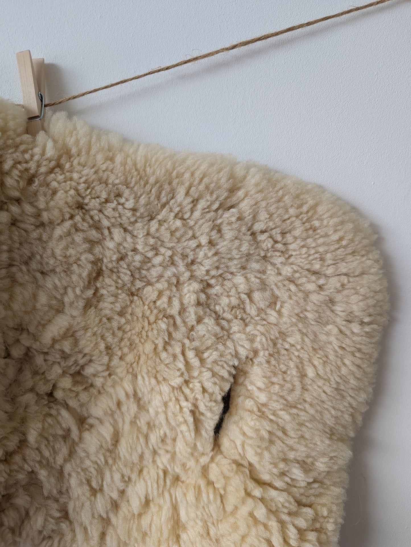 Inlegger buggy of maxicosi