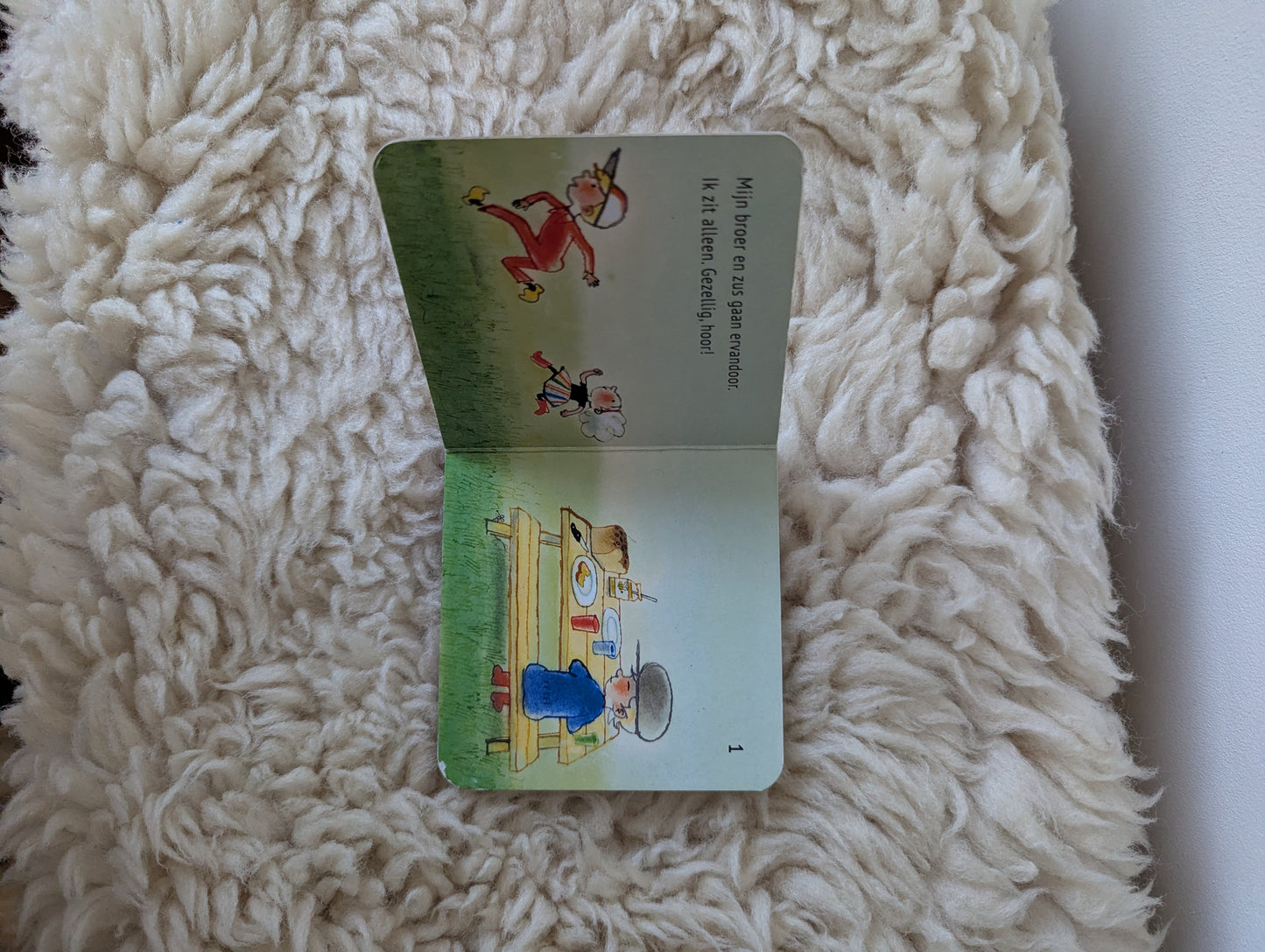 Boek - Boer Boris met zijn drietjes