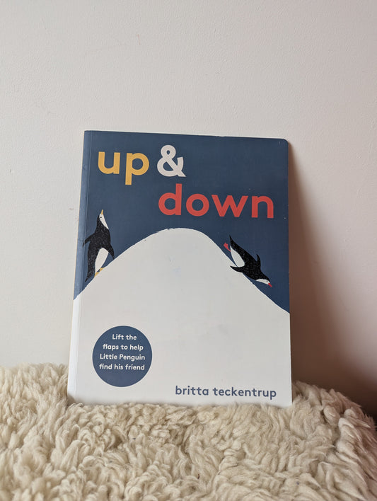 Boek - up & down