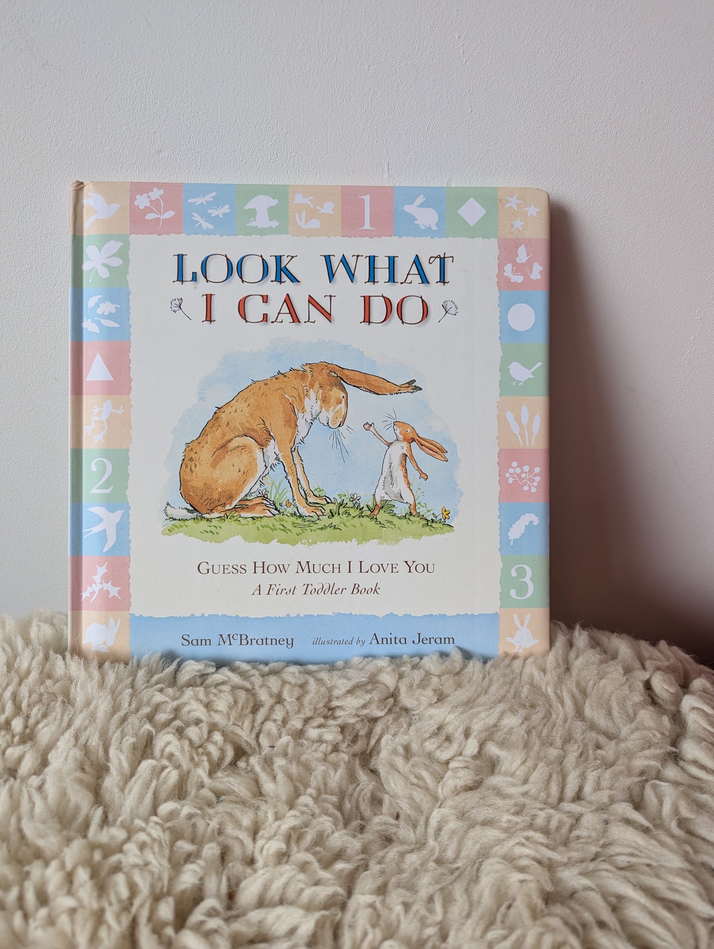Boek - Look what I can do