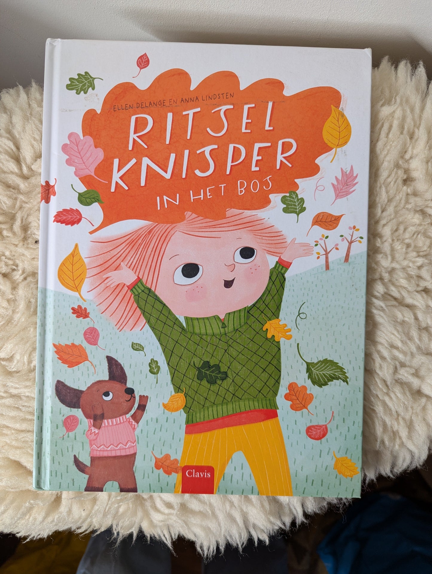 Boek - Ritsel knisper in het bos