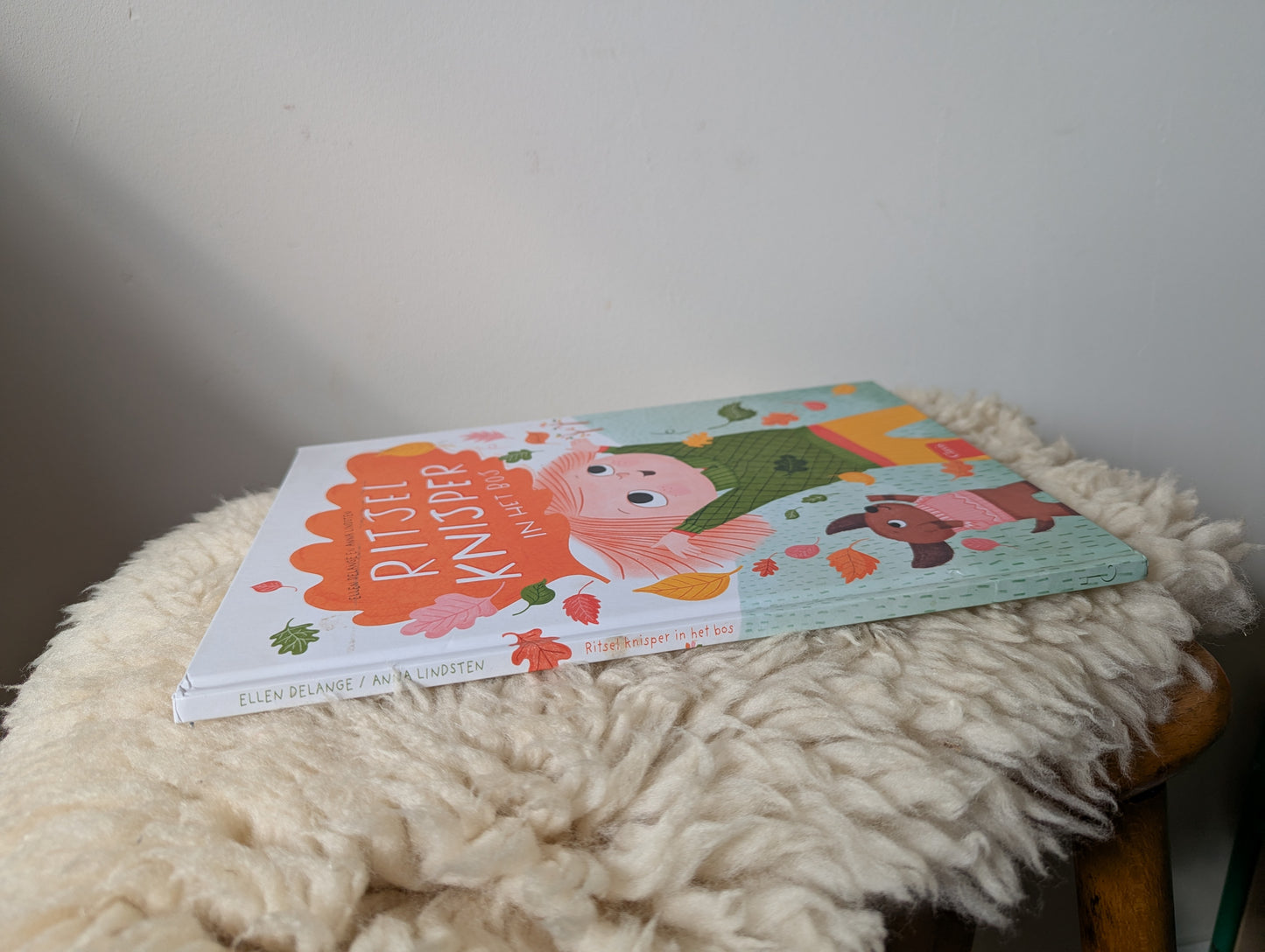 Boek - Ritsel knisper in het bos