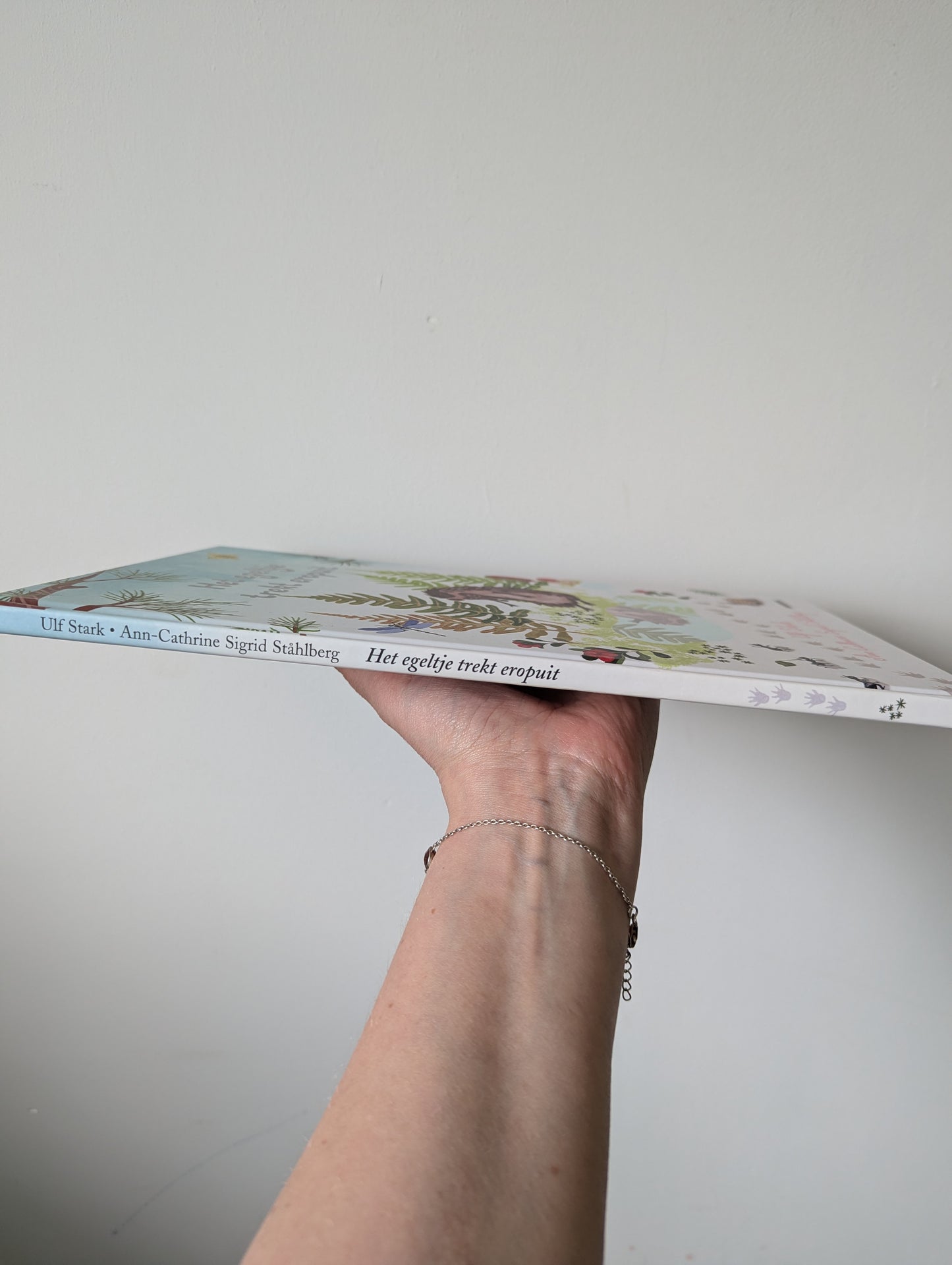 Boek - Het egeltje trekt eropuit