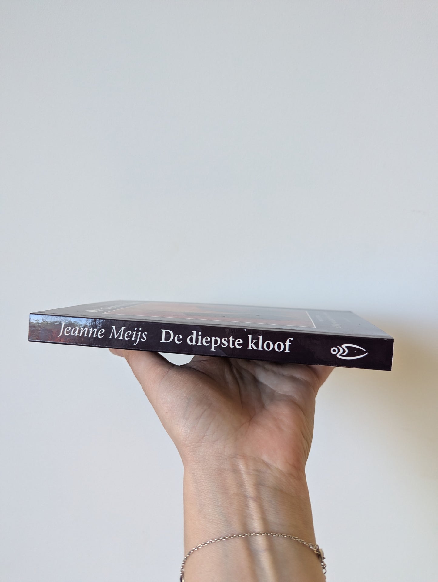 Boek - De diepste kloof