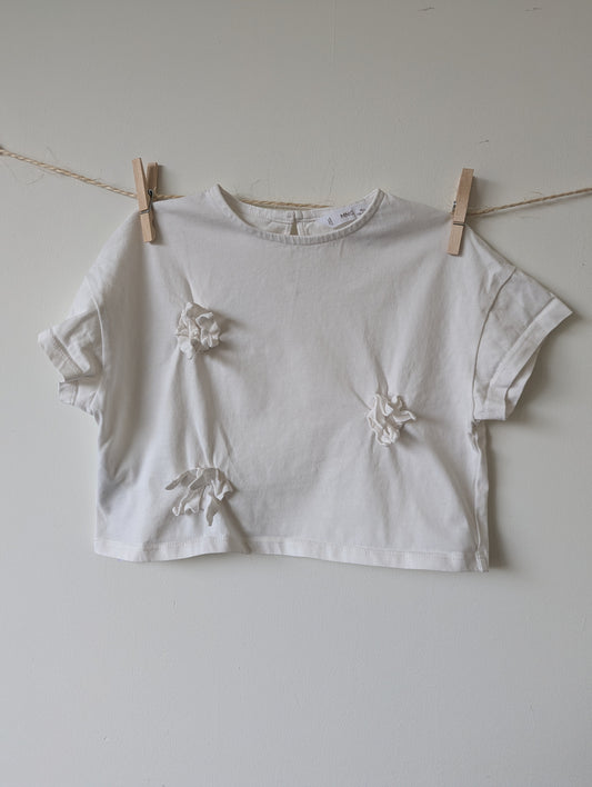 Shirt - mt 116
